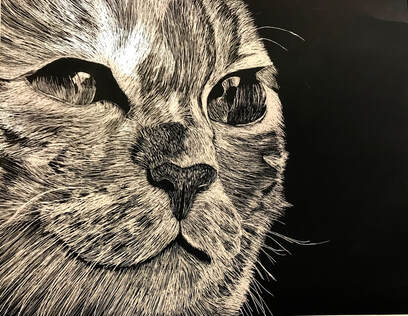 Scratchboard Art Lesson: A Student Favorite - Art With Trista
